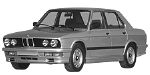 BMW E28 P0B2E Fault Code